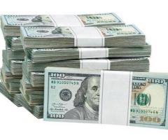 Investor looking positive investment opportunitie.